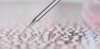 独自の科学的アプローチ、エコバイオロジーとともに。